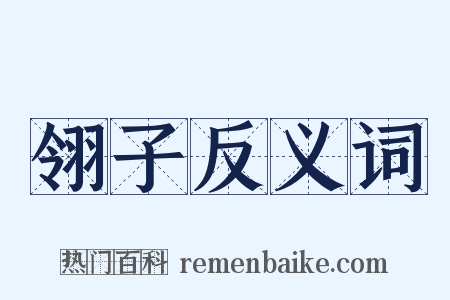 翎子反义词是什么意思的图片
